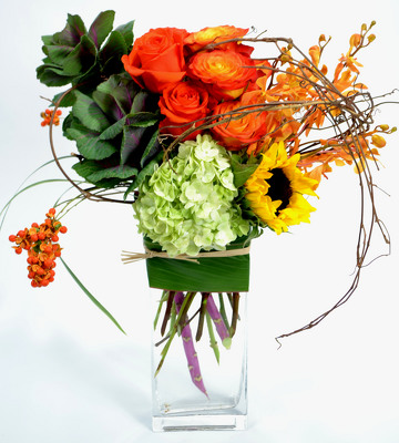 <H1> Bittersweet </H1>  from Mockingbird Florist in Dallas, TX