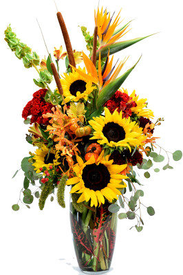 Autumn Harvest