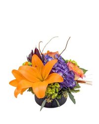 <H1> Papaya </H1>  from Mockingbird Florist in Dallas, TX