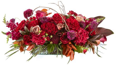 <H1> Foliage Fantasy </h1>  from Mockingbird Florist in Dallas, TX