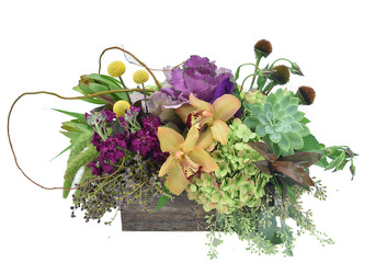 Into The Woods from Mockingbird Florist in Dallas, TX