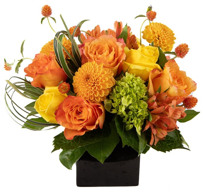 <h1> Radiant Sunset </h1> from Mockingbird Florist in Dallas, TX