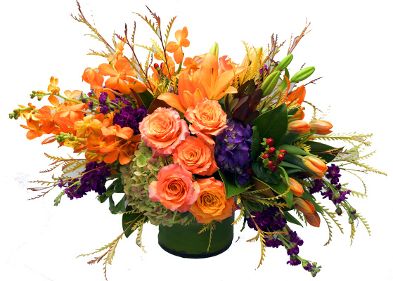 <H1> Southport </H1>  from Mockingbird Florist in Dallas, TX