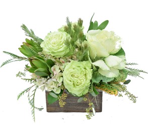 Greenville from Mockingbird Florist in Dallas, TX