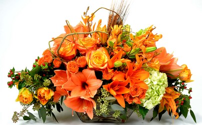 Fall Holland Centerpiece from Mockingbird Florist in Dallas, TX