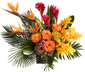 <H1> Tropical Harvest </h1>  from Mockingbird Florist in Dallas, TX