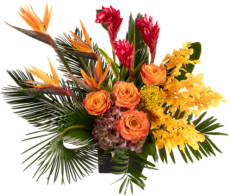 <H1> Tropical Harvest </h1>  from Mockingbird Florist in Dallas, TX