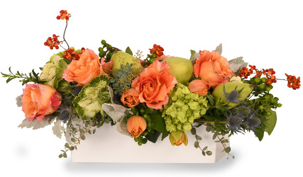 <H1> Pears & Bittersweet </H1>  from Mockingbird Florist in Dallas, TX