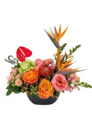 <H1> Havana </h1> from Mockingbird Florist in Dallas, TX