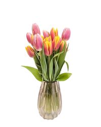 <H1> Premium Dutch Tulips </h1> from Mockingbird Florist in Dallas, TX