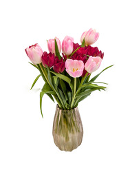 Premium Dutch Tulips from Mockingbird Florist in Dallas, TX