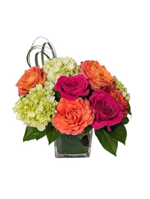 Orange Rose Swirl Deluxe from Mockingbird Florist in Dallas, TX Orange Rose Swirl Deluxe from Mockingbird Florist in Dallas, TX