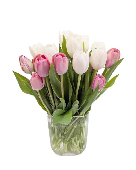 Luxury Dutch Tulips from Mockingbird Florist in Dallas, TX