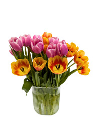 Luxury Dutch Tulips from Mockingbird Florist in Dallas, TX