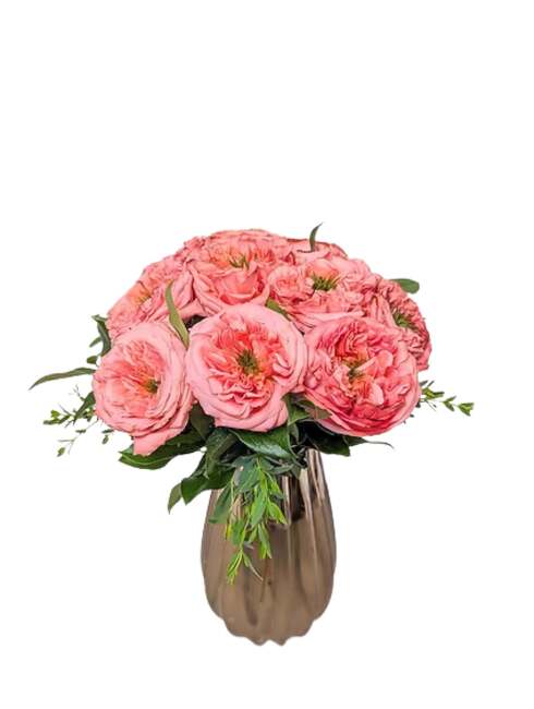 Heritage Rose from Mockingbird Florist in Dallas, TX Heritage Rose from Mockingbird Florist in Dallas, TX