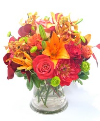 Flowers, Plants, gifts and more for any occasion