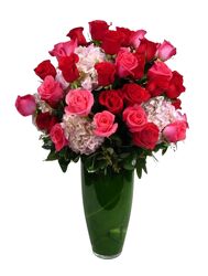 <H1> Indulgent Rose </h1> from Mockingbird Florist in Dallas, TX