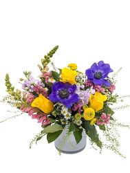 <H1> Limoncino </h1> from Mockingbird Florist in Dallas, TX