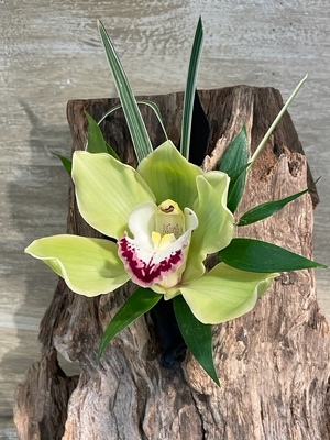 <H1> Cymb Orchid Boutonniere </H1>  from Mockingbird Florist in Dallas, TX