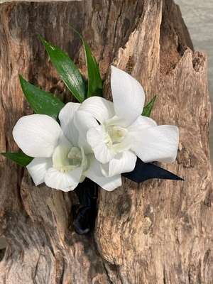 <h1> Dendrobium Orchid Boutonierre </h1> from Mockingbird Florist in Dallas, TX