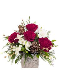 Seasonal Greetings Deluxe from Mockingbird Florist in Dallas, TX