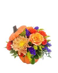 <H1> Pumpkin Patch </h1>  from Mockingbird Florist in Dallas, TX