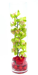 <H1> Vixen </H1> from Mockingbird Florist in Dallas, TX