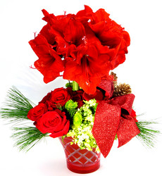 Scarlett from Mockingbird Florist in Dallas, TX