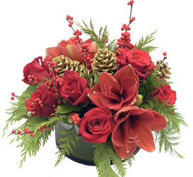 <H1> Simply Red </H1>  from Mockingbird Florist in Dallas, TX