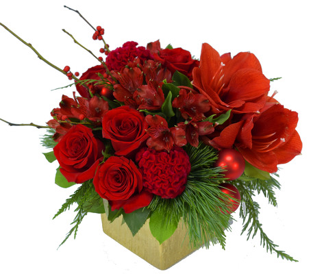 <H1> Jingles </H1> from Mockingbird Florist in Dallas, TX