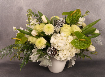 Green Frosted Holiday from Mockingbird Florist in Dallas, TX
