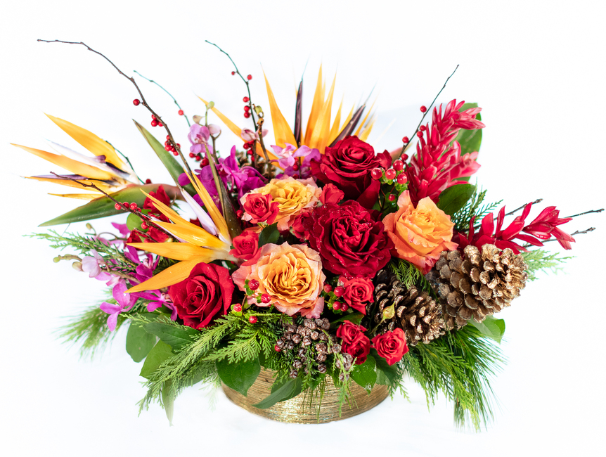<H1> Birds of Paradise </H1>  from Mockingbird Florist in Dallas, TX