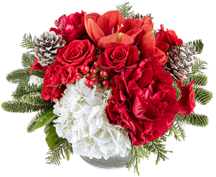 <H1> Radiant Christmas </h1> from Mockingbird Florist in Dallas, TX