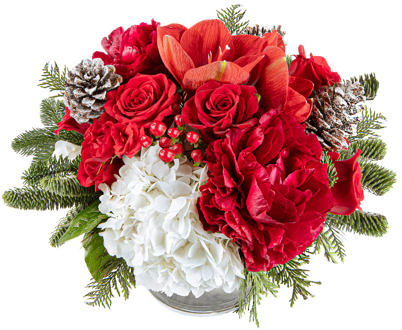 <H1> Radiant Christmas </h1> from Mockingbird Florist in Dallas, TX