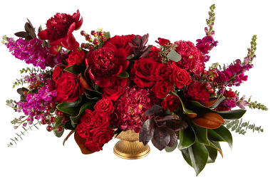 <H1> Velvet Bloom </h1>  from Mockingbird Florist in Dallas, TX