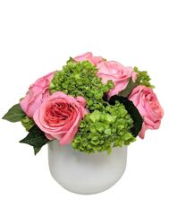 <H1> Mayfair </h1> from Mockingbird Florist in Dallas, TX