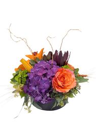 <H1> Papaya </H1>  from Mockingbird Florist in Dallas, TX