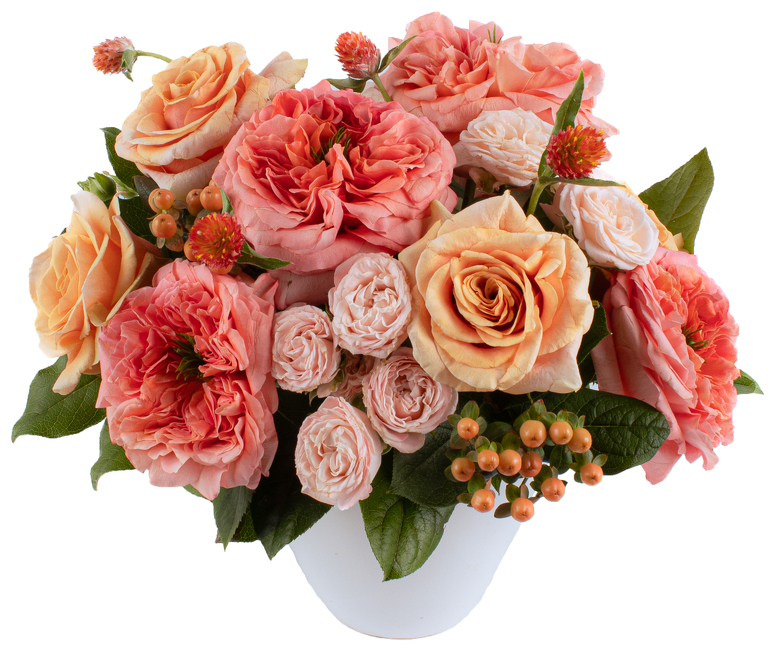 <H1>Pastel Daydream Garden Roses</H1> from Mockingbird Florist in Dallas, TX