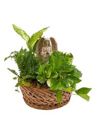 <H1> Praying Angel Planter </h1> from Mockingbird Florist in Dallas, TX