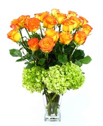 Sunrise Rose Arrangement   from Mockingbird Florist in Dallas, TX