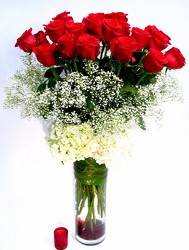 To Her With Love     24  Long Stem Roses  Wow! from Mockingbird Florist in Dallas, TX