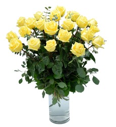<h1>24 Elegant Yellow Roses</h1> from Mockingbird Florist in Dallas, TX