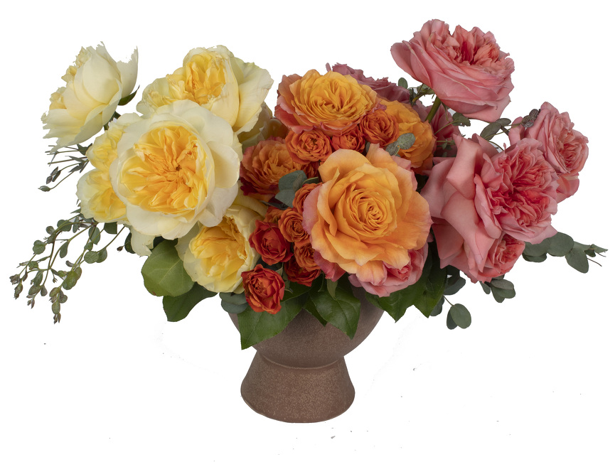 <H1> Tangerine Bloom </h1>  from Mockingbird Florist in Dallas, TX
