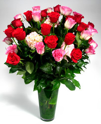 Malibu & Red 48 Roses from Mockingbird Florist in Dallas, TX