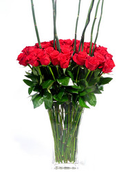 Fabulous 48 Red  4ft tall from Mockingbird Florist in Dallas, TX