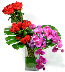 24 Roses & Phalaenopsis from Mockingbird Florist in Dallas, TX