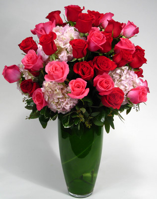 <h1> Indulgence 48 Roses w/ Hydrangea -Internet Special</h1> from Mockingbird Florist in Dallas, TX