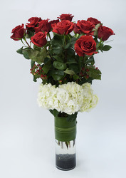 Exquisite 12 Red Roses & Hydrangea from Mockingbird Florist in Dallas, TX