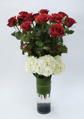 <h1>Exquisite 12 Red Roses & Hydrangea</h1> from Mockingbird Florist in Dallas, TX