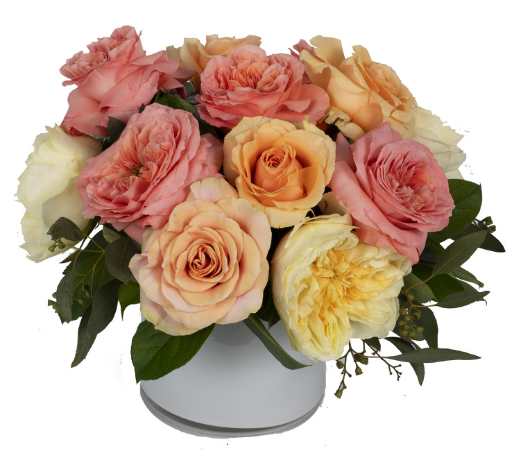 <H1> Antoinette's Roses </h1>  from Mockingbird Florist in Dallas, TX